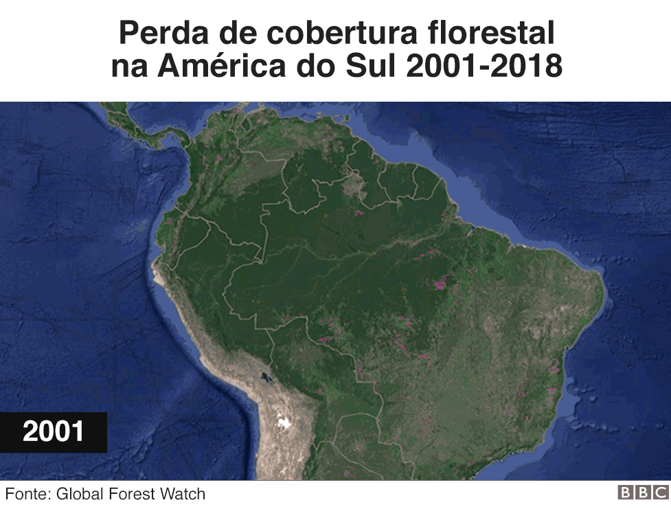 BBC - Perda de cobertura florestal na América do Sul 2001-2018 (Foto: BBC)