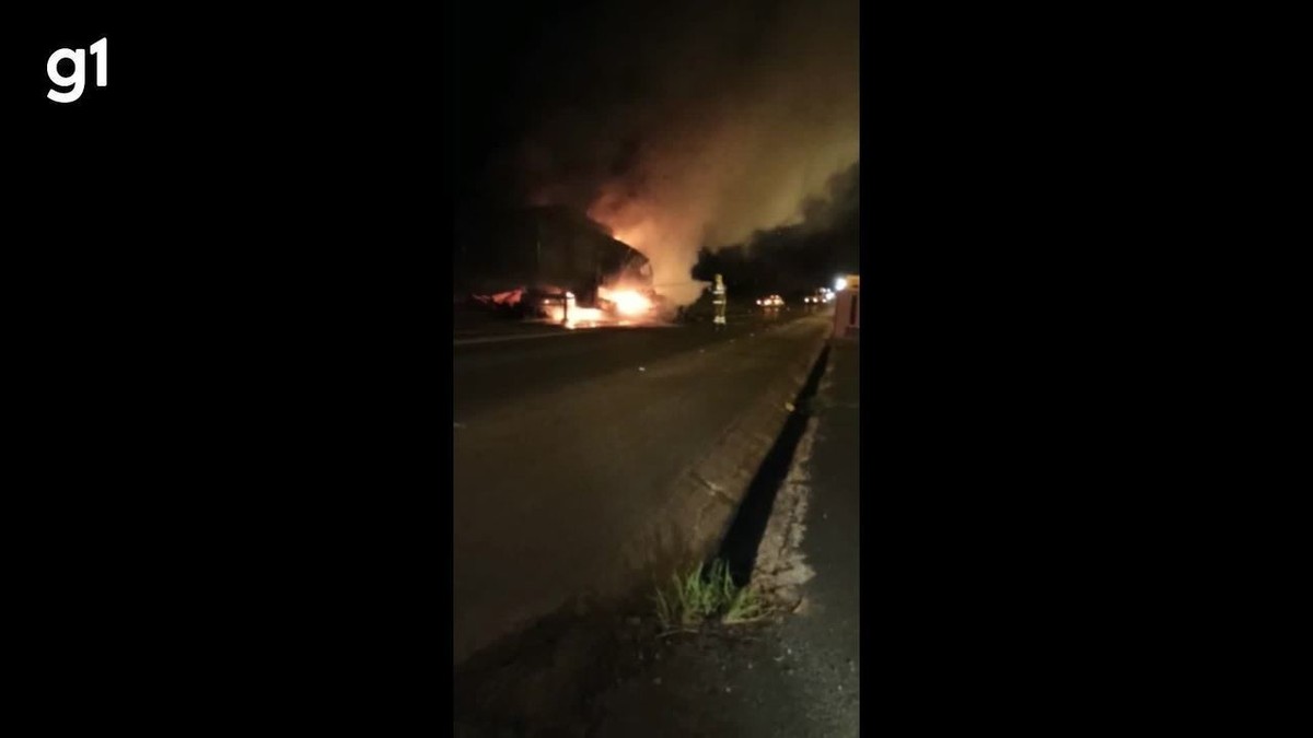 VÍDEO: Carreta carregada com eucalipto pega fogo na BR-365