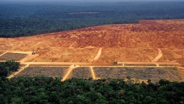 A destruição da vegetação nativa e as mudanças climáticas vão prejudicar diretamente o agronegócio no Brasil (Foto: GETTY IMAGES VIA BBC)