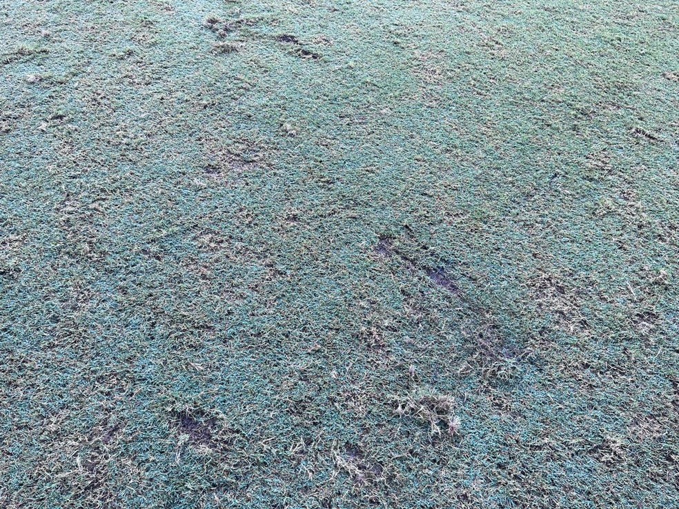 Gramado do Maracan&atilde; cheio de buracos &mdash; Foto: Divulga&ccedil;&atilde;o