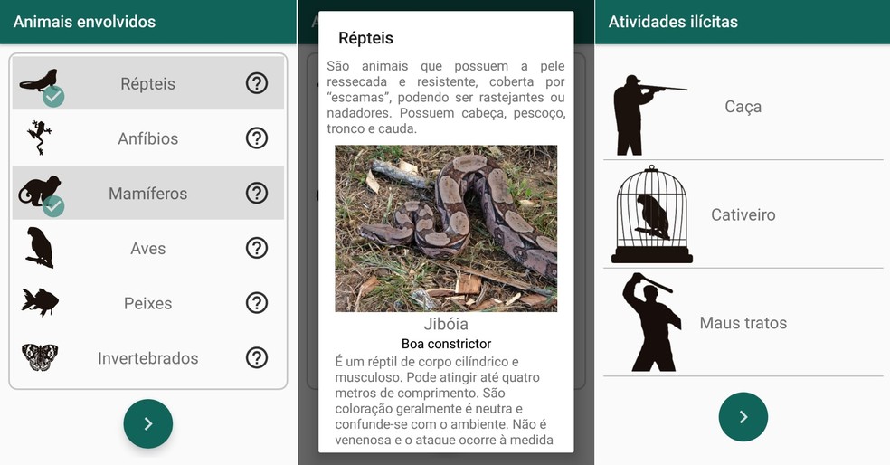 Aplicativo desenvolvido na UFPI facilita a denúncia de crimes contra animais silvestres no Piauí — Foto: Arquivo Pessoal/ Wedson Medeiros