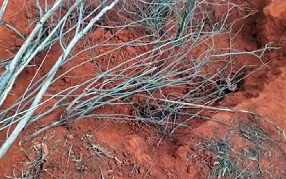 Corpo de Noêmia foi achado dentro de buraco cavado ao lado do carro (Foto: Reprodução/TV São Francisco)
