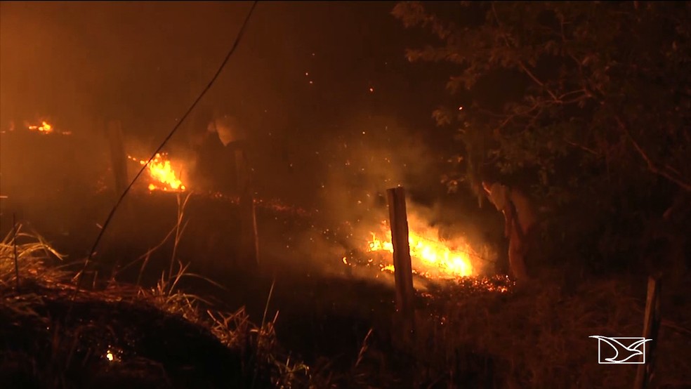 Maranhão já registra mais de 3.500 focos de incêndio em 2022  — Foto: Reprodução/TV Mirante