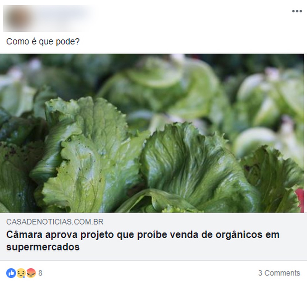 Várias pessoas compartilharam textos com a informação equivocada (Foto: Reprodução/Facebook)