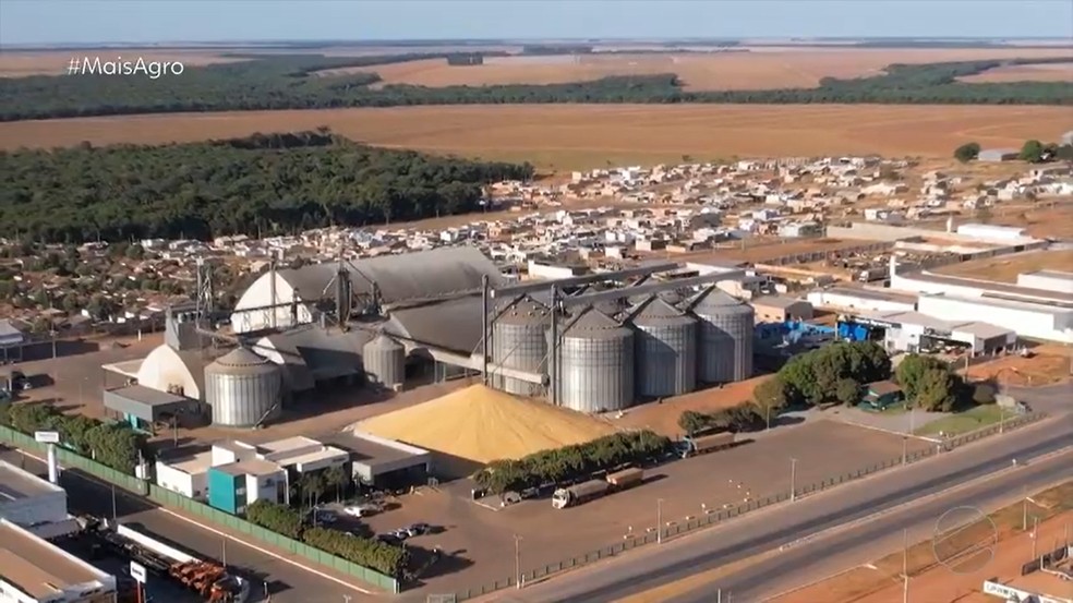 Grãos são guardados do lado de fora de armazém em MT — Foto: Wellington Nascimento/TV Centro América