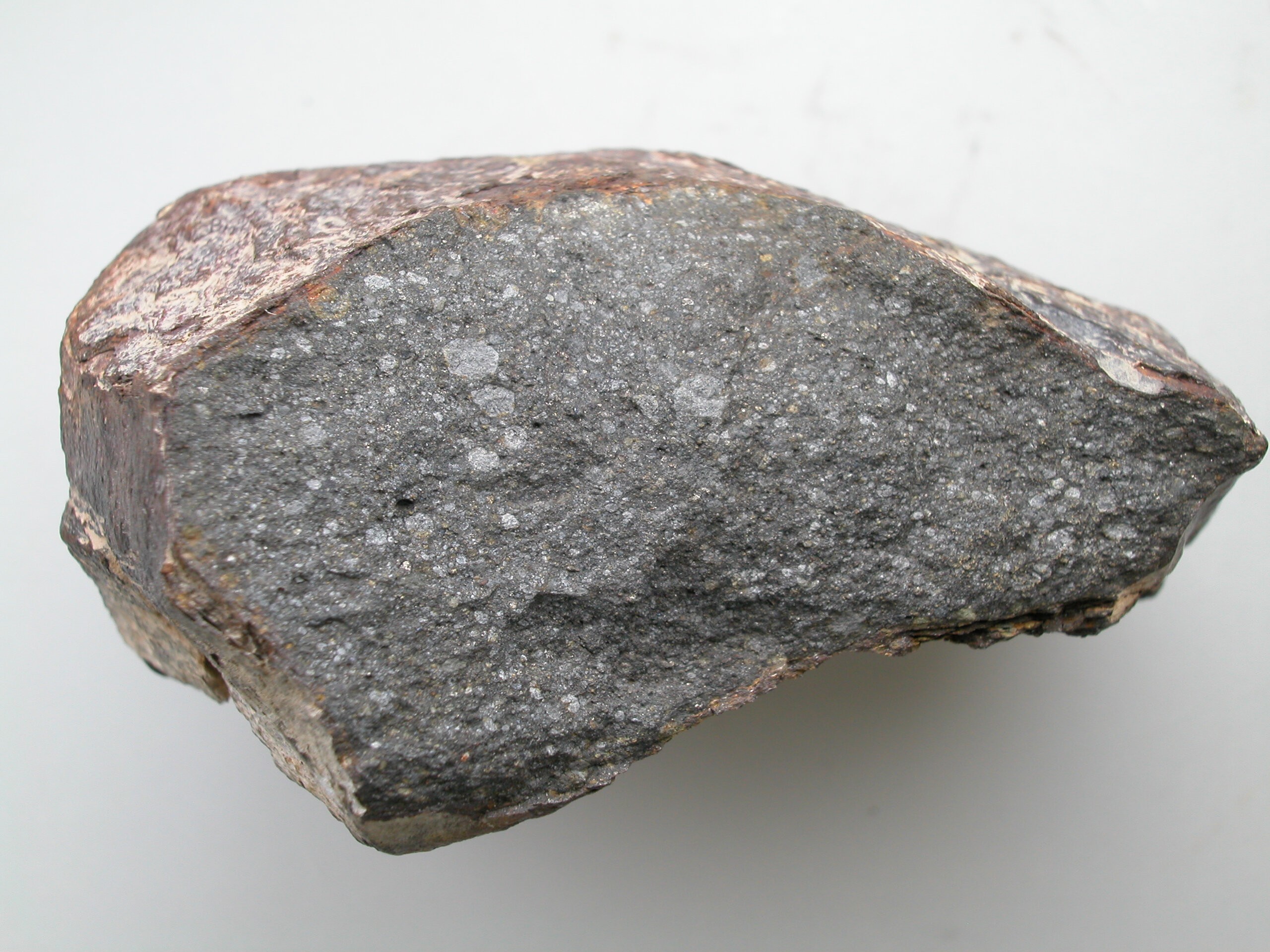 Meteorito sugere nova explicação para existência de água na Terra. Acima: pedaço do meteorito Sahara 97096, com cerca de 10 centímetros de comprimento e 0,5% de seu peso em água (Foto: L. Piani, Museum of Natural History in Paris)