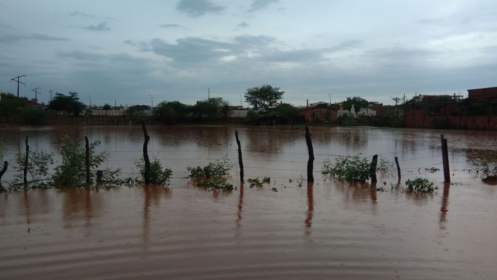 Lagoa totalmente cheia na Rua Amínio Rocha, em Picos. (Foto: Lázaro Parente/ Arquivo pessoal)