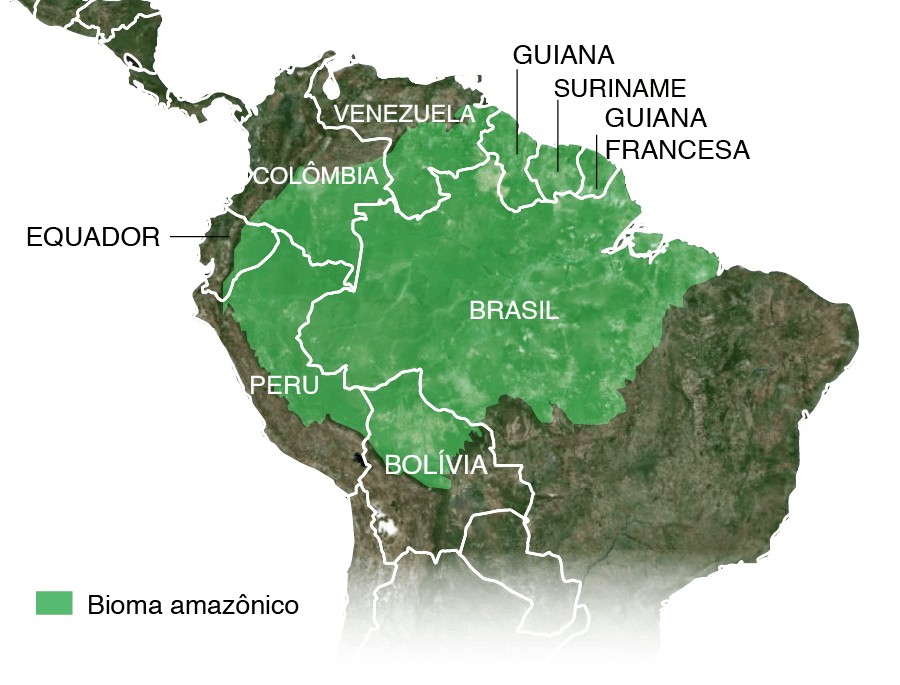BBC - Bioma amazônico (Foto: BBC)