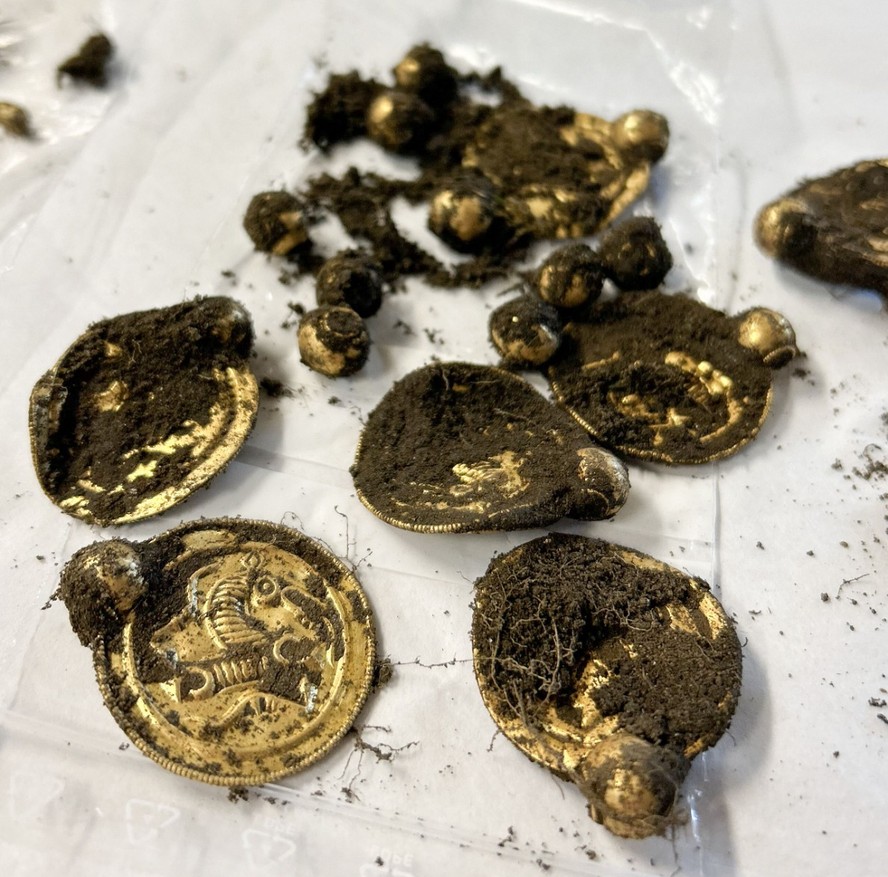 Medalhões de ouro e pérolas foram encontradas por arqueólogo amador, na Noruega