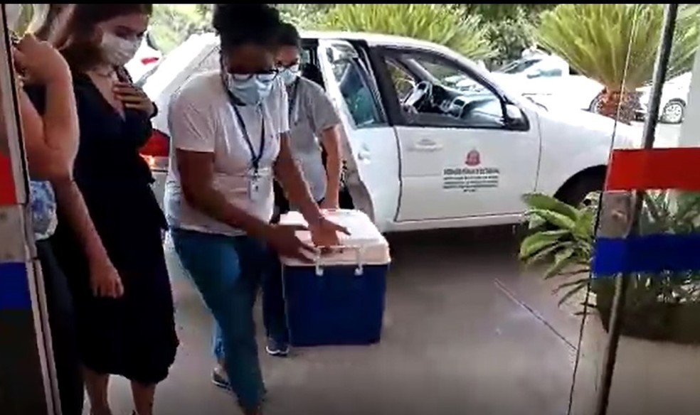 Vacina chegou nesta quinta-feira (21) a Borá — Foto: Prefeitura de Borá/Divulgação
