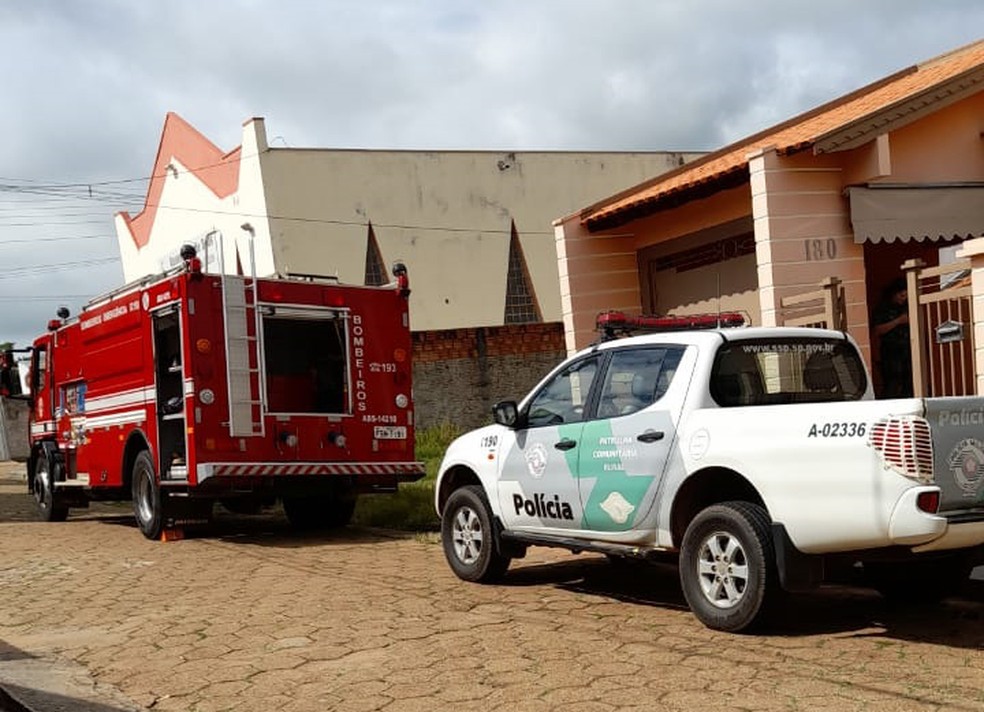 Onça-parda foi encontrada embaixo de um carro, na garagem de uma casa, em Presidente Venceslau — Foto: Orlando Gonçalves Cota/Cedida