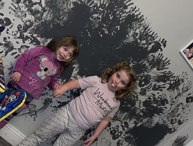 Meninas pintam parede da sala e mãe fica chocada  (Foto: Reprodução Daily Mail )