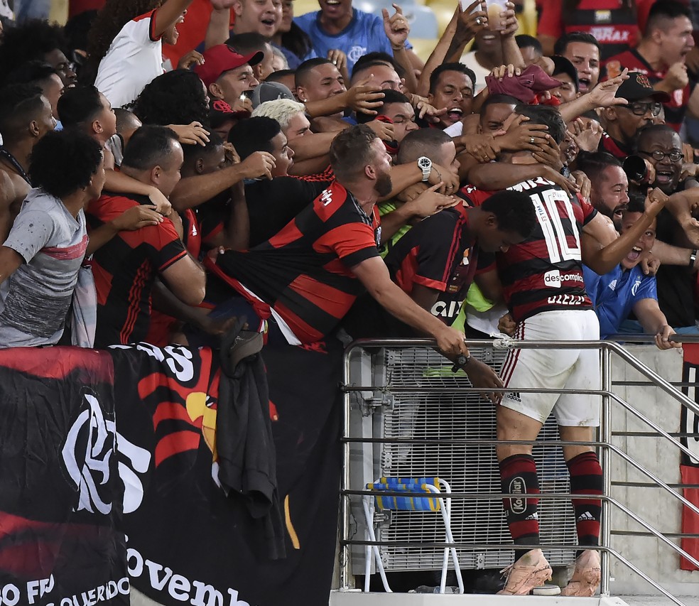 Diego comemora o segundo gol do Flamengo com a torcida â Foto: AndrÃ© DurÃ£o/GloboEsporte.com