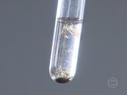 Focos do Aedes são encontrados após entrada forçada em imóvel
