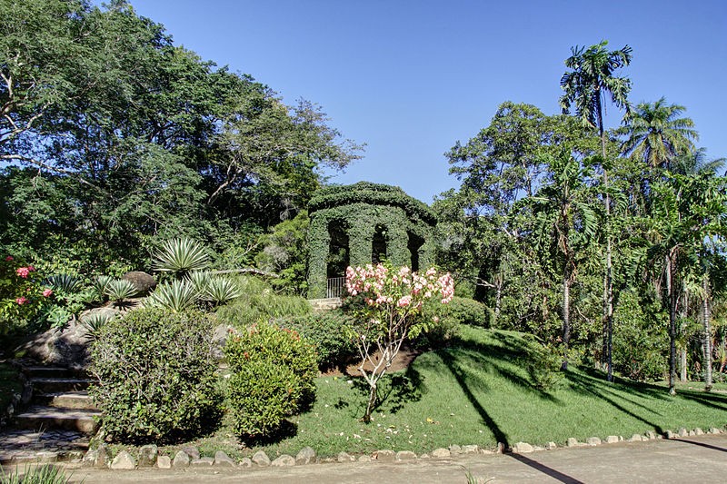 Jardim Botânico do Rio de Janeiro (Foto: Halley Pacheco de Oliveira / Wikimedia Commons / CreativeCommons)