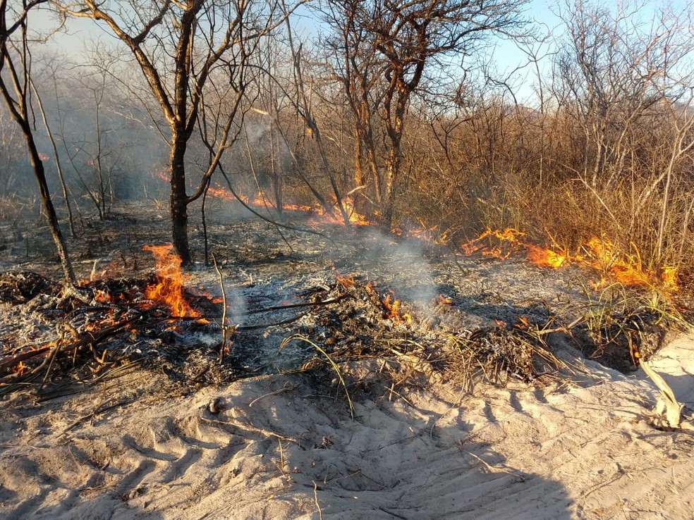Incêndio devasta mais de 700 hectares de caatinga no Sertão de Pernambuco |  Petrolina e Região | G1