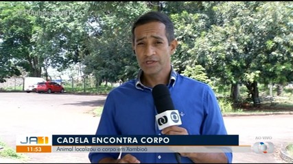Cadela encontra corpo em avançado estado de decomposição em Xambioá