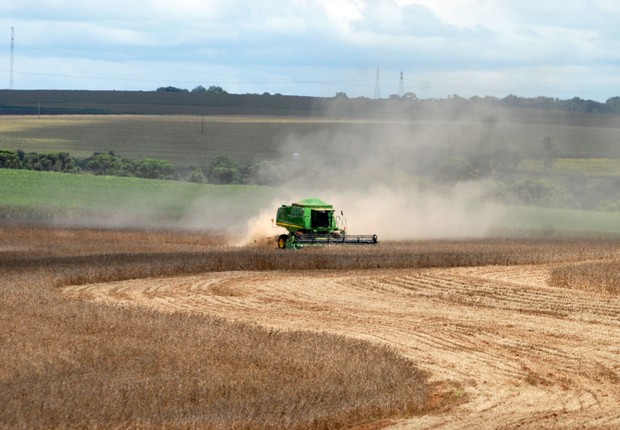 Agronegócio, trigo, colheita, paraná, grãos (Foto: Jonas Oliveira/Fotos Públicas)