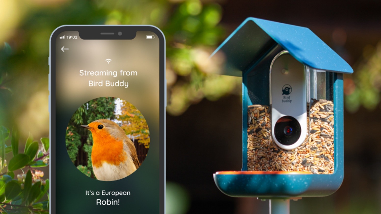 The Bird Buddy app notifies the owner when the bird has run out of food (Photo: Bird Buddy/Reproduction)