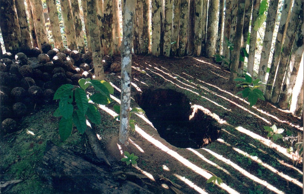 Buraco em Tapiri — Foto: Reprodução/Txai Surui