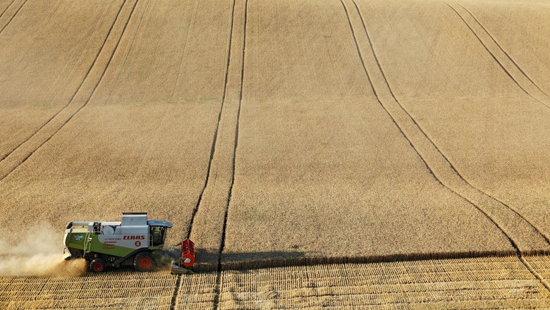 Colheita em campo de trigo na região de Stavropol, Rússia (Foto: REUTERS/Eduard Korniyenko)