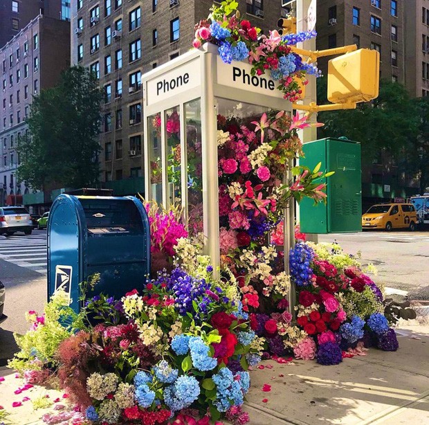 Designer transforma cabine telefônica de NY em um grande arranjo de flores (Foto: Reprodução)