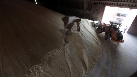 Açúcar encerra 2022 com 4º ganho anual. Café caiu 20% no ano