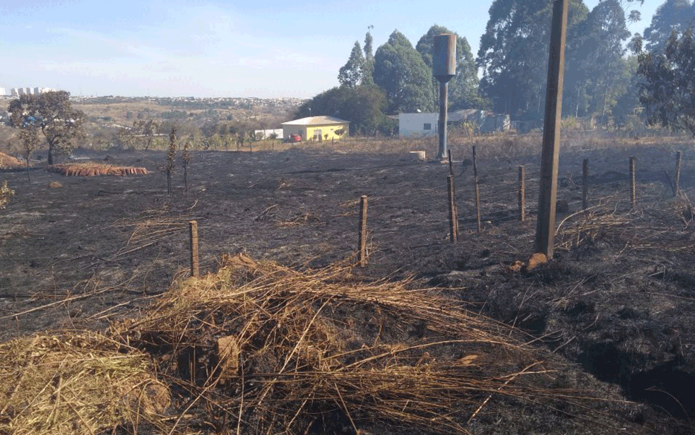 Queimada em Área de Proteção Ambiental, em Brazlândia, no DF — Foto: PMDF/divulgação