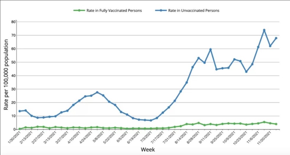 a taxa de hospitalizações por covid-19 entre os não vacinados (linha azul) é muito superior quando comparada aos indivíduos que haviam recebido suas doses (linha verde) até novembro — Foto: CDC/EUA