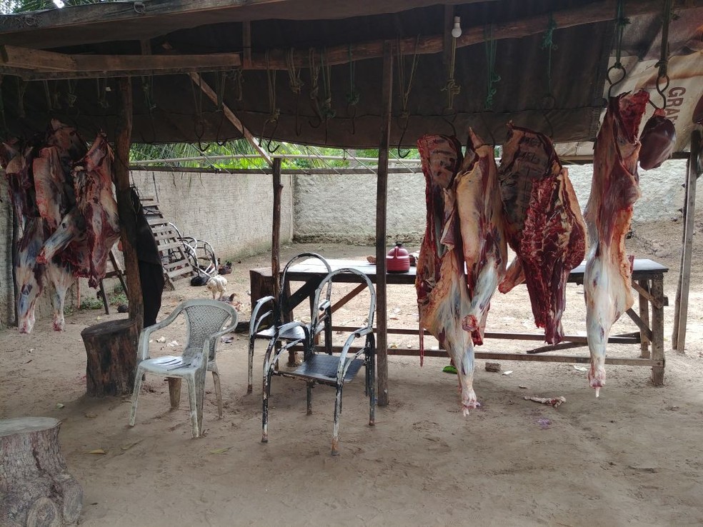 Policiais encontraram pedaços de animais pendurados em matadouro clandestino (Foto: Divulgação/PM)