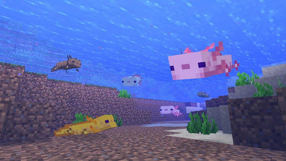 Axolote no Minecraft veja como encontrar, domar e