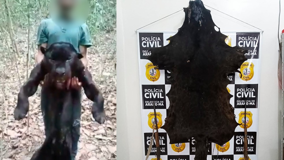 Caçador que exibiu onça-preta em vídeo é preso suspeito de abater o animal no Maranhão — Foto: Reprodução/Divulgação/Polícia Civil