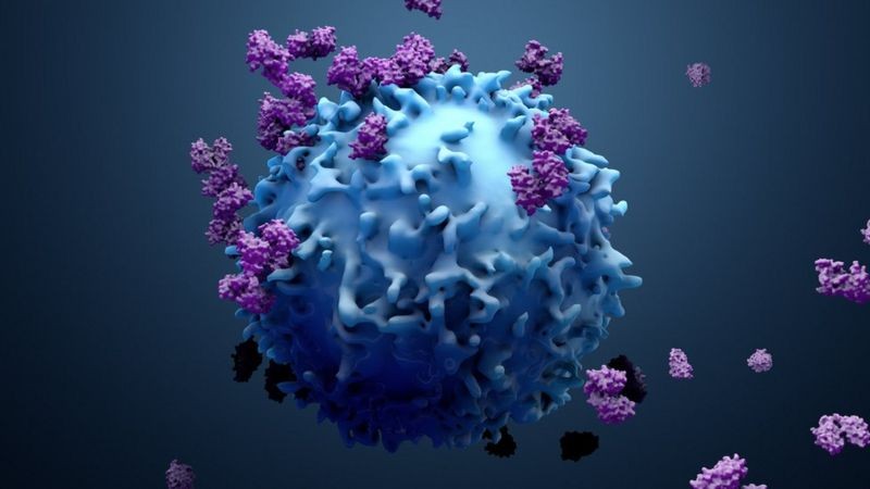 O câncer afeta todo o reino animal multicelular (Foto: Getty Images)