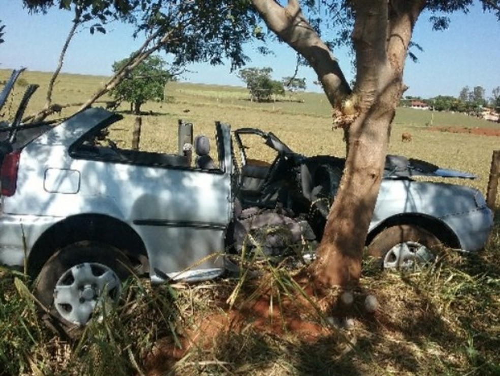 Acidente foi registrado neste domingo (19) em Ouro Verde — Foto: Polícia Rodoviária