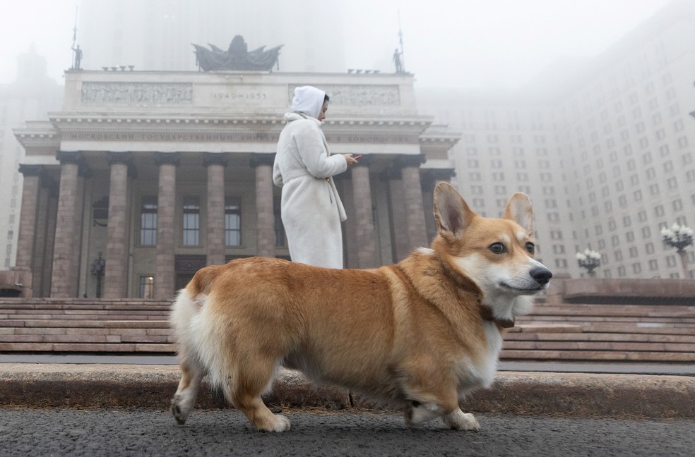 Mulher passeia com seu cachorro da raça corgi em frente ao prédio da Universidade Estadual de Moscou, durante uma forte neblina na capital da Rússia, em 2 de novembro de 2021 — Foto: Maxim Shemetov/Reuters