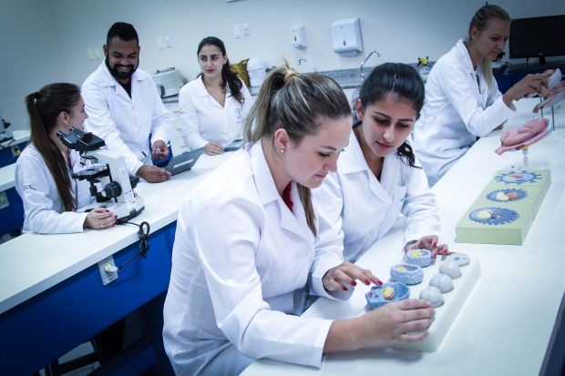 Resultado de imagem para Faculdade de Medicina