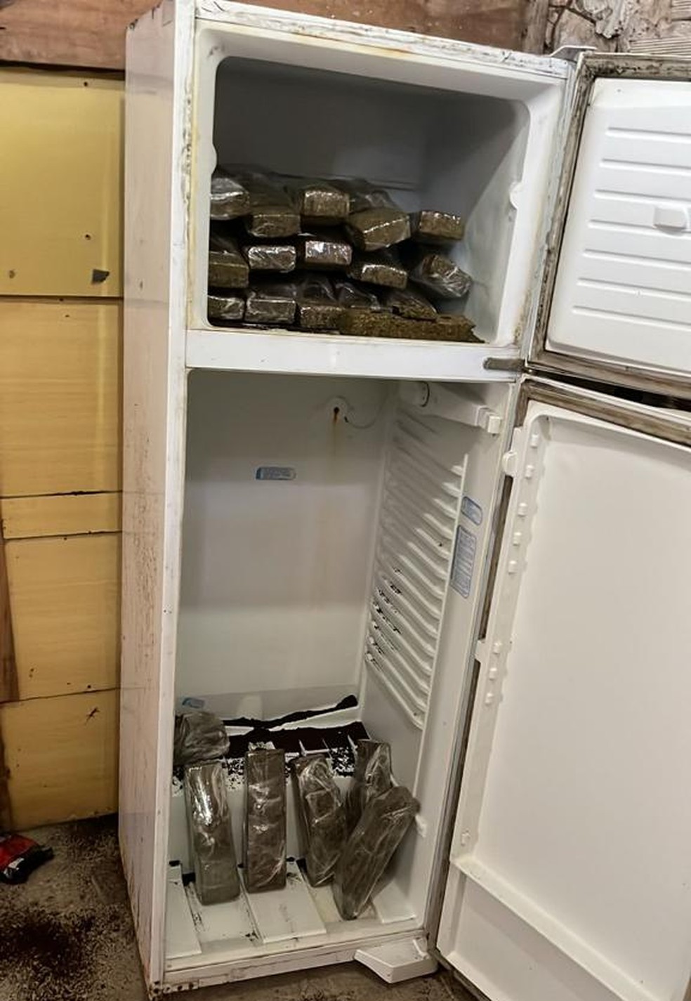Drogas encontradas dentro de geladeiras em Cabedelo — Foto: Polícia Civil/Divulgação