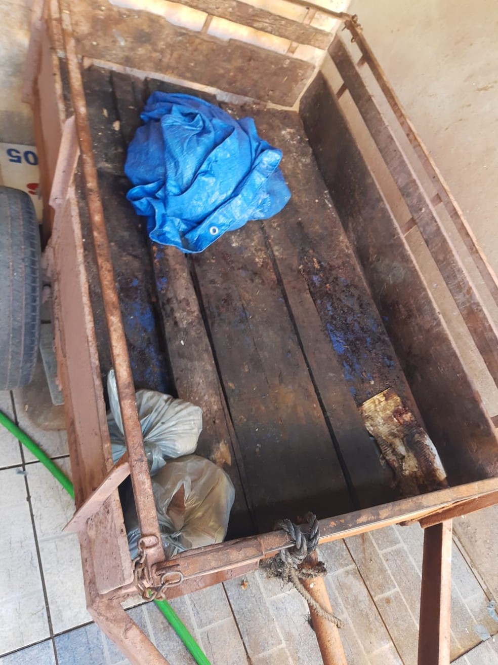 Animais abatidos clandestinamente eram transportados em carretinha de madeira até o açougue — Foto: Divulgação/Vigilância Sanitária