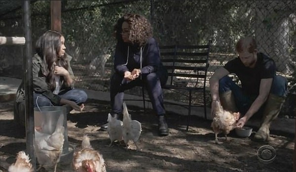 O Príncipe Harry e a atriz Meghan Markle no galinheiro da mansão dos dois na companhia da apresentadora Oprah Winfrey (Foto: Reprodução)
