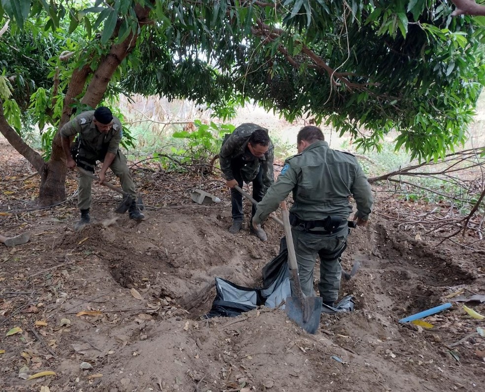 PM encontra centenas de tabletes de maconha enterrados em sítio no Piauí e prende um homem — Foto: Divulgação /PM-PI