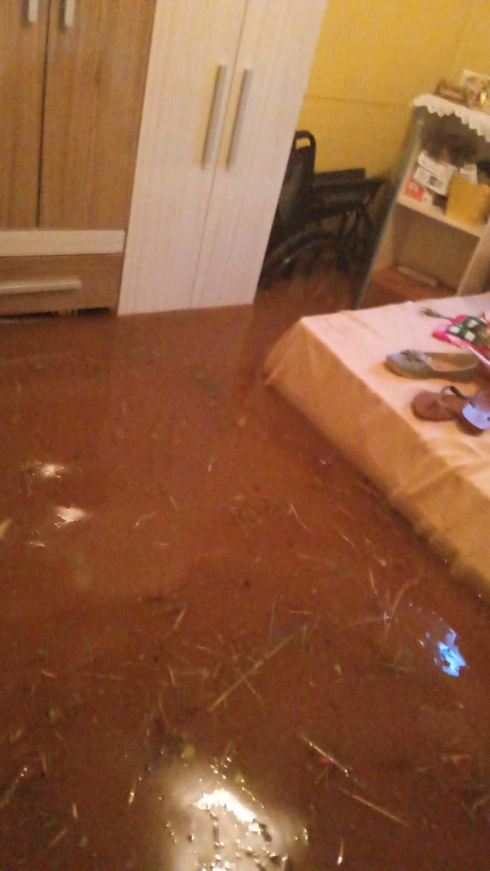 Dez fam&iacute;lias ficam desalojadas ap&oacute;s temporal alagar casas e causar estragos no Paran&aacute; &mdash; Foto: Foto cedida/Eduarda Viviane Dobrychtop