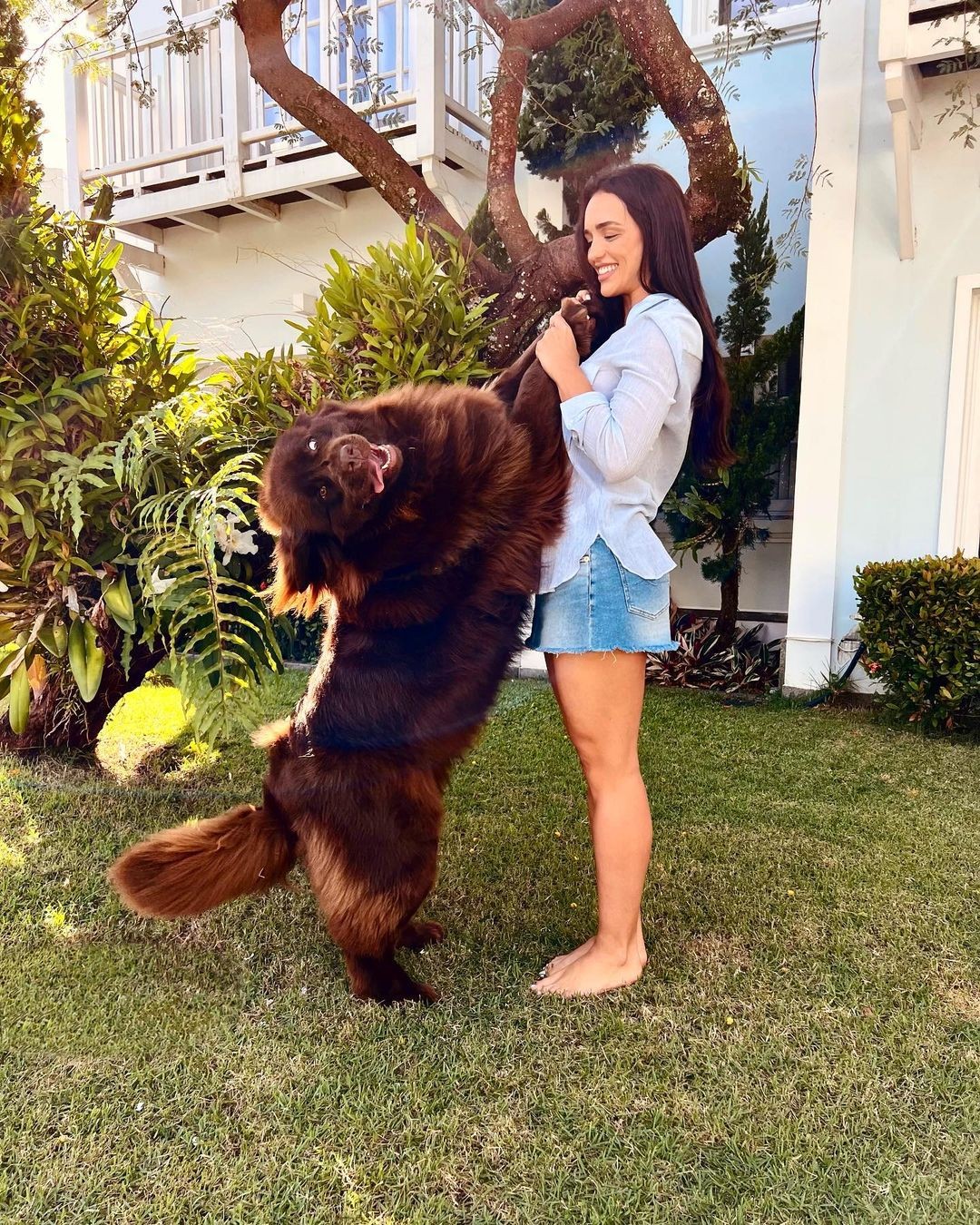 Rafa Kalimann posou para fotos com seus cachorros (Foto: Reprodução/Instagram)