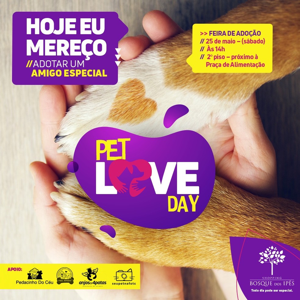 A ação visa a adoção de pets em comemoração ao Dia Nacional da Adoção — Foto: Assessoria/Divulgação