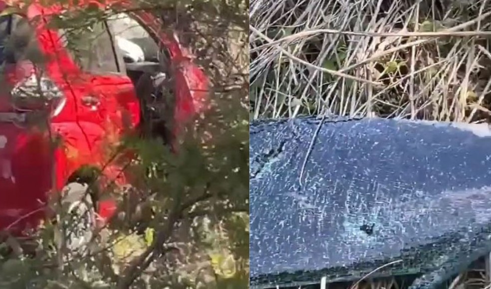 Carro saiu da rodovia e parou em um matagal. A lateral do veículo e a frente ficaram destruídas.  — Foto: Reprodução