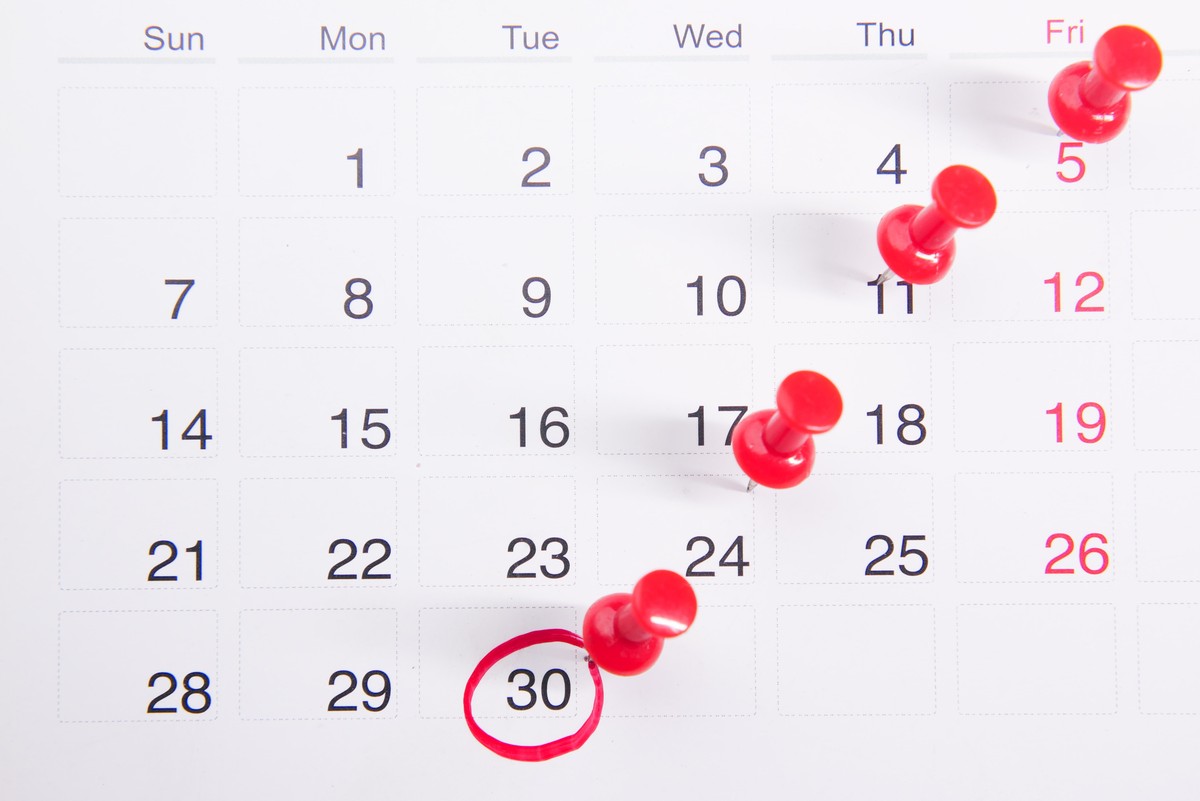 Feriados em dezembro de 2022: veja sites de calendário para conferir |  Produtividade | TechTudo