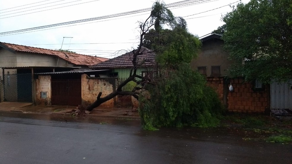 Temporal na região de Marília deixa milhares de moradores sem energia elétrica, Tarumã — Foto: Arquivo pessoal