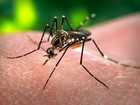 Bairros de Salvador recebem ações de combate ao Aedes neste sábado 