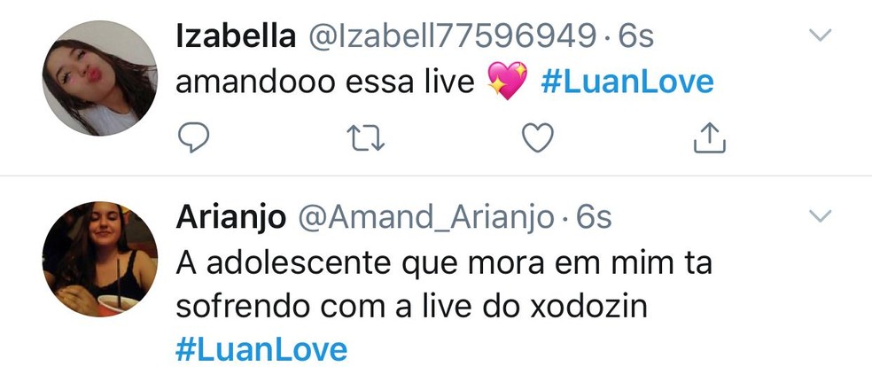 Fãs vibram com a live do Luan Santana — Foto: Globo