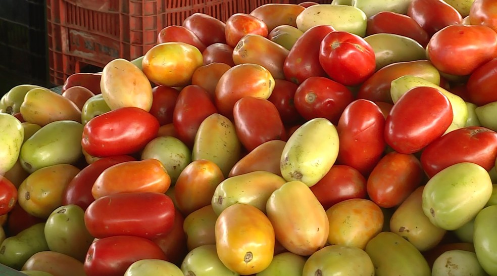 Tomate puxou a alta da cesta básica na capital com alta de 39,29% — Foto: Reprodução/TV Grande Rio 