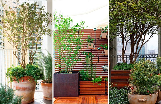 Confira 8 ideias para inserir espécies frutíferas em apartamentos (Foto: Casa e Jardim / Reprodução)
